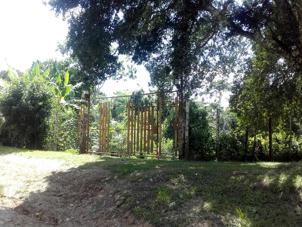 Pajonal Arriba Hostal Familiar El Angel Panama B&B מראה חיצוני תמונה